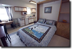 Queen studio apartment